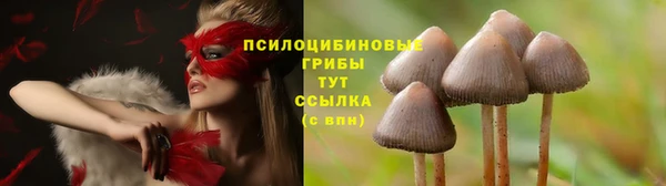 кокаин колумбия Богданович